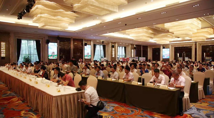 ͻƹɷӦϯ2018꺣ϿԤɫ߷̳