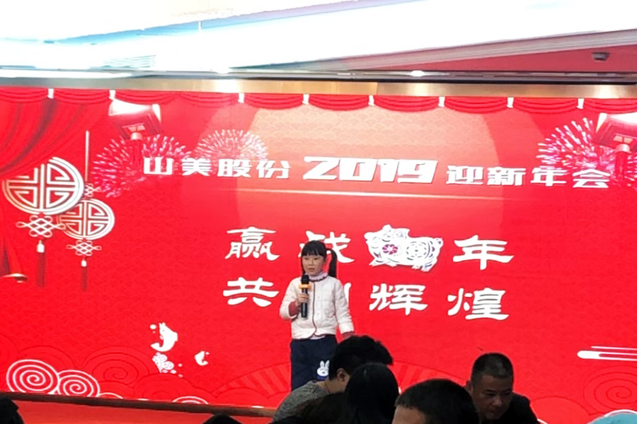 赢战猪年、共创辉煌--冰球突破股份隆重举行2018年度表彰大会暨2019迎新年会