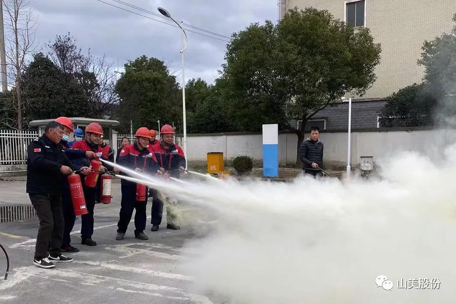 ǿʶΰȫߣϺͻƹɷݶ벢ץðȫ